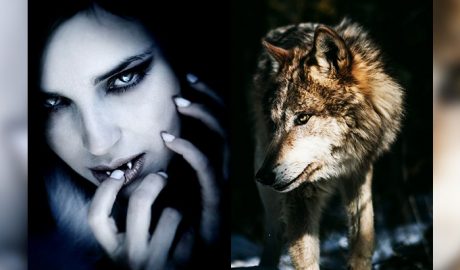 Vampire: the Masquerade vs Werewolf: the Apocalypse